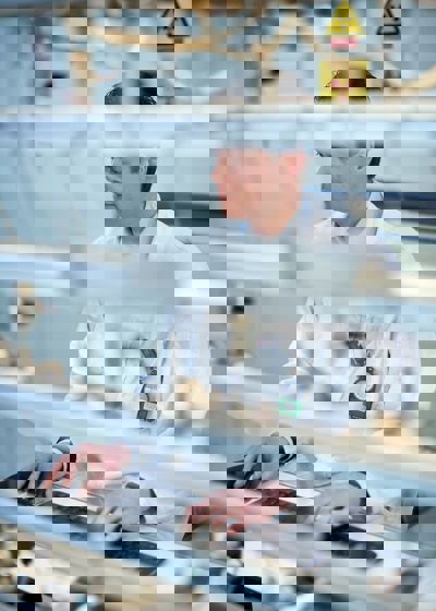 465715959 9347212388639701 6441138772492283800 N (1)